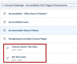 Canvas Module with quizzes